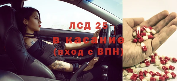 амф Богданович