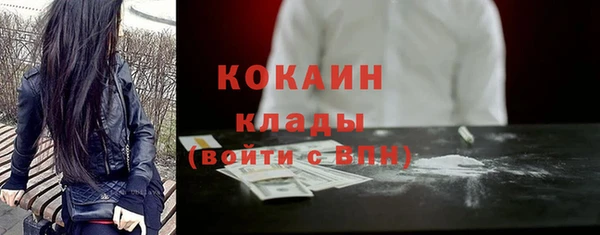 MESCALINE Бородино