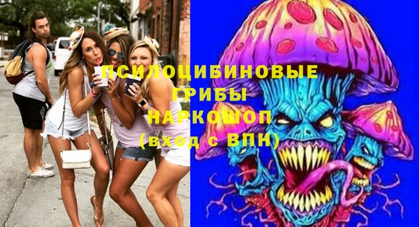 индика Верхнеуральск