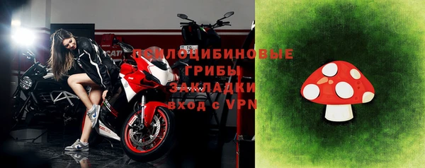 прущие крисы Верхний Тагил