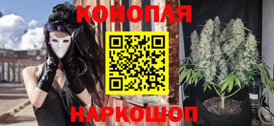 амф Севастополь