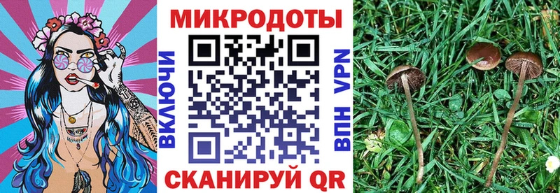 Галлюциногенные грибы MAGIC MUSHROOMS  гидра как зайти  Обь 