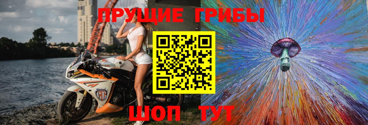 Псилоцибиновые грибы Magic Shrooms  закладки  Обь  Вход с VPN 